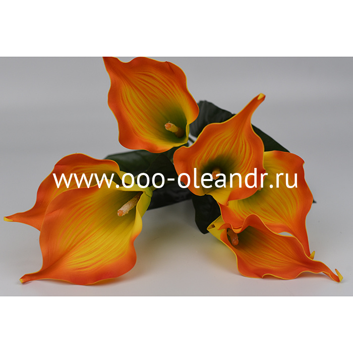 У0090 Букет "Калла НЕЖНОСТЬ" 7г. H=60см 20шт. СБОРКА