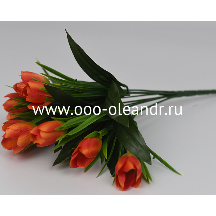 Б0090 Букет крокусов "Вегас" 9г. h=33см 20шт.