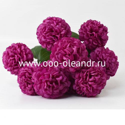 Б4205 Букет хризантема "Аврора" круглая 9г h=61см 10шт