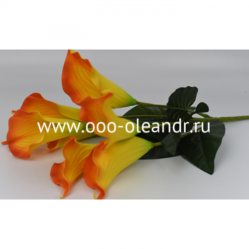 У0090 Букет "Калла НЕЖНОСТЬ" 7г. H=60см 20шт. СБОРКА